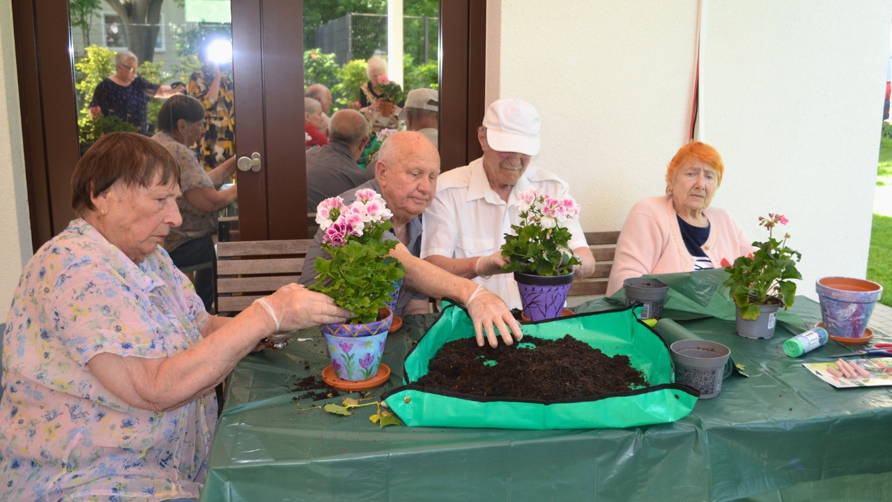 Seniorinnen und Senioren topfen Pflanzen um