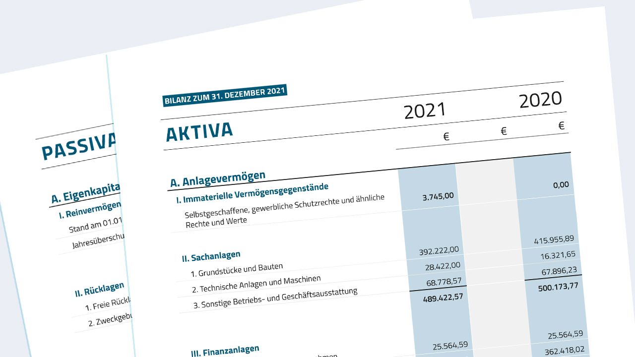 Bilanz, Mittelverwendung und Mittelherkunft 2021