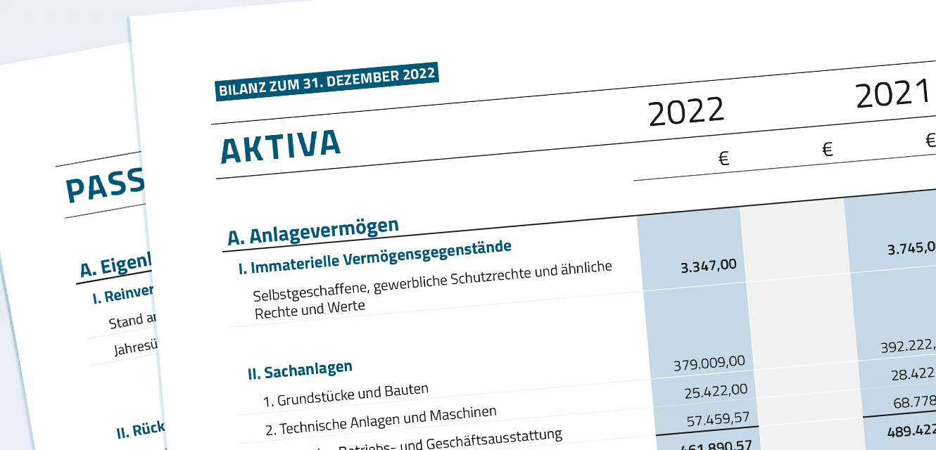 Bilanz, Mittelverwendung und Mittelherkunft 2022