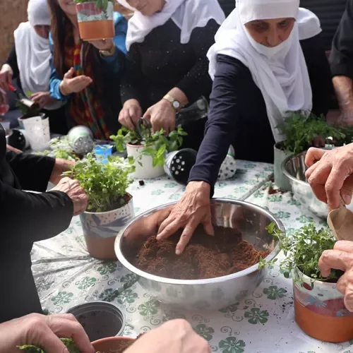 Drusische Frauen im Kräuterworkshop